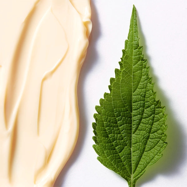 Shiseido Future Solution Lx Total Regenerating Cream E