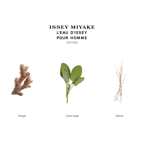 Issey Miyake L'Eau d'Issey pour Homme Vetiver Eau De Toilette Intense 50ml#Size_50 ml