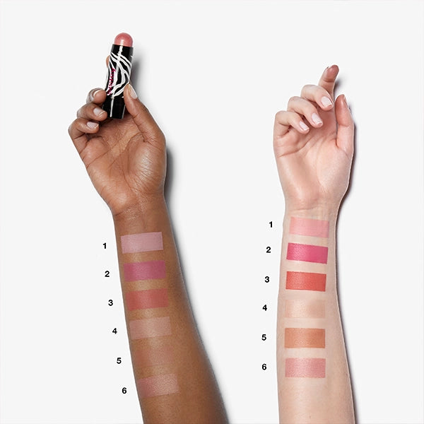 Sisley Phyto Blush Twist 5 Gm#Shade_No5 Contour