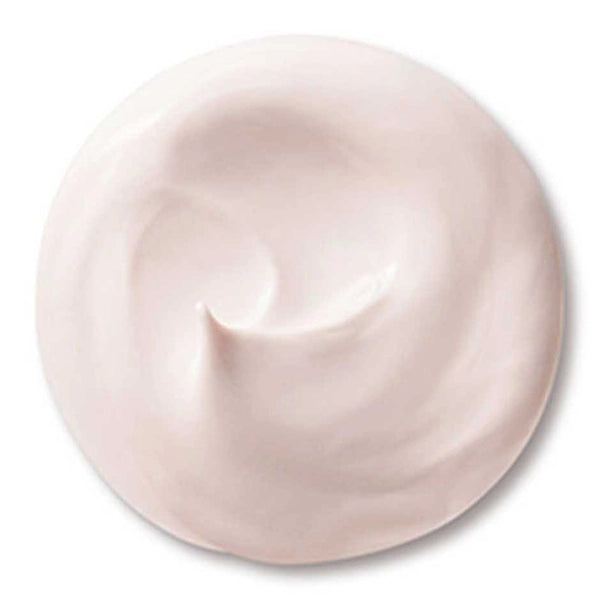 Shiseido Purifying Mask